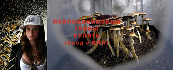 меф VHQ Бородино