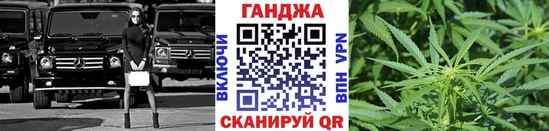 Каннабис сатива  Кизляр 
